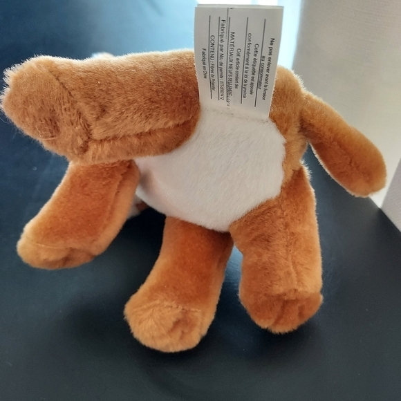 Scholastic Books Plush Lion Cub Light Brown 6in 2016 - Picture 7 of 9